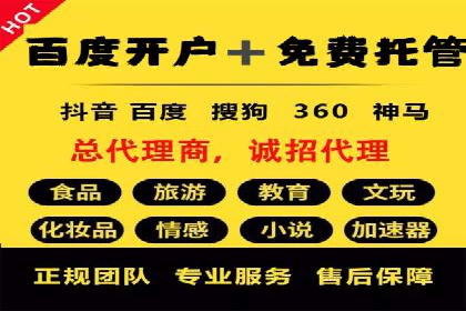 行业领先企业的SEM开户成功案例